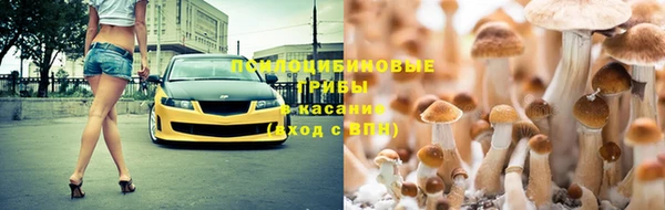 Альфа ПВП Козельск