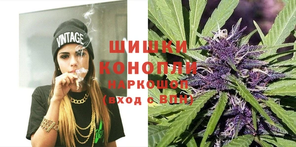 хмурый Козловка