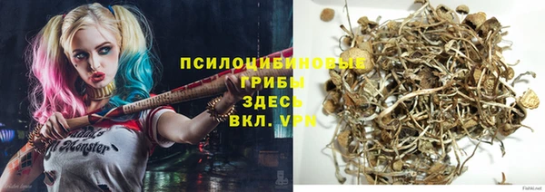 Альфа ПВП Козельск