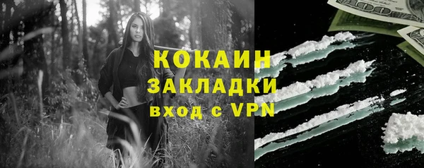хмурый Козловка